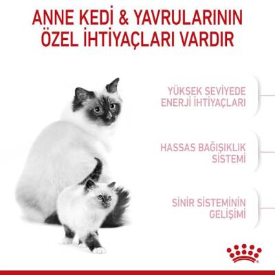 Royal Canin Anne & Bebek Yavru Kedi Maması (2 kg) - 4